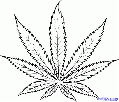 Simple Weed Leaf Drawing at GetDrawings | Free download