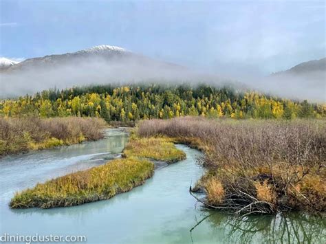 Chasing Fall Colors in Alaska- an unforgettable experience