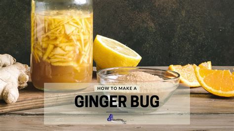 How To Make A Ginger Bug + Care Instructions & Recipe Suggestions