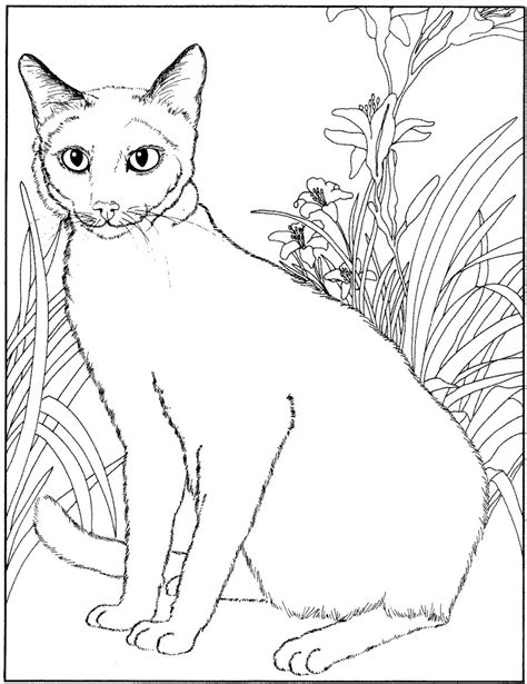 Majestic cat to color - Cat Coloring Pages for Kids