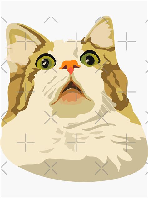 "Surprised Cat Meme, Cursed Cat Images" Sticker for Sale by printify | Redbubble