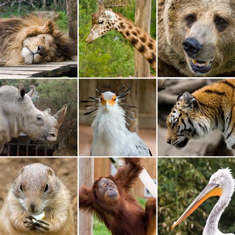 Top 10 Best Zoos In The World | eBlogfa.com