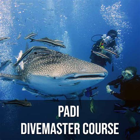 Padi Divemaster Course - Crystal Images Koh Tao