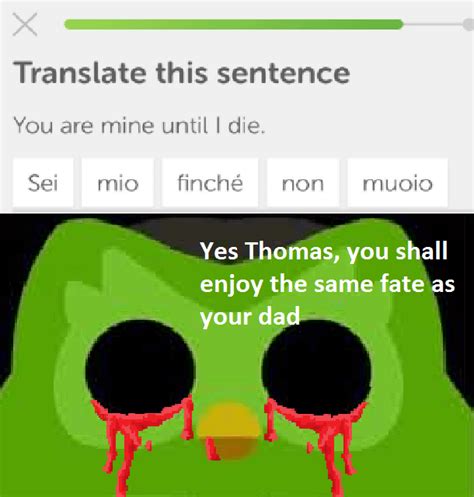 Creepy Duolingo Memes | Images and Photos finder