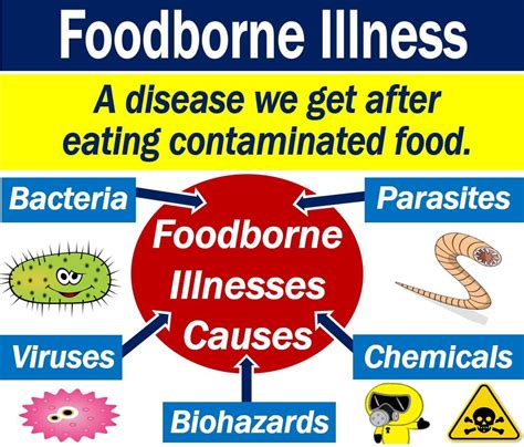 Foodborne Illnesses Treatment Of Foodborne Illnesses Types Diseases ...