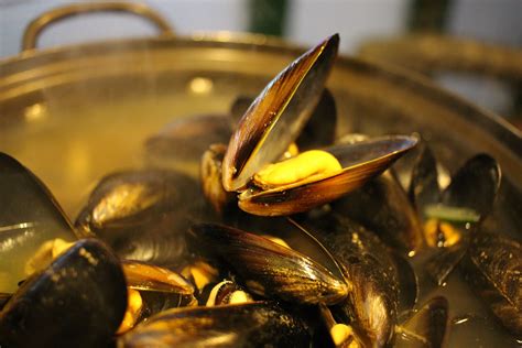 Moules Mariniere recipe - The Crown Inn, Elton blog