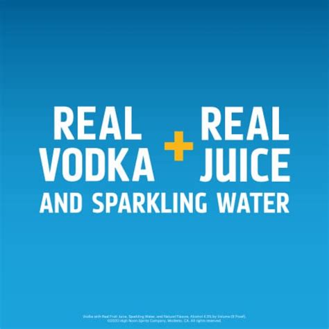 High Noon Grapefruit Vodka Hard Seltzer, 4 cans / 355 mL - Fry’s Food Stores