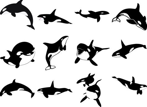 Orca orca orca orca orca orca ballena asesina svg eps png - Etsy España