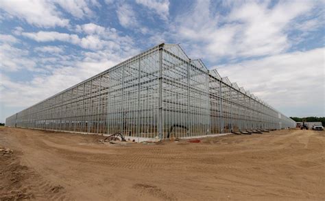 Greenhouse Construction Company | Prospiant