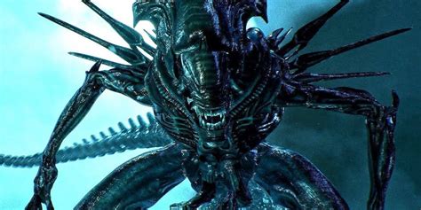 Alien's Xenomorph Queens Have a Horrific Final Fate the Movies Ignore