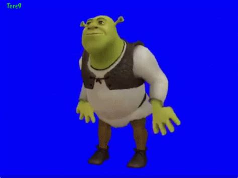 Shrek GIF - Shrek - Discover & Share GIFs