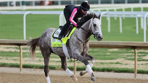 Horses That Won The Kentucky Derby And Preakness 2024 - Erica Freddie