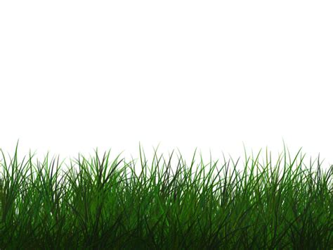 Free Transparent Grass Texture Seamless PNG (Nature-Grass-And-Foliage) | Textures for Photoshop