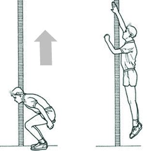 Countermovement Jump (CMJ): The Ultimate Test For Lower Body Power - Vitruve | Velocity-Based ...