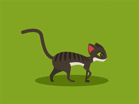 Animated Cat Walking Gif