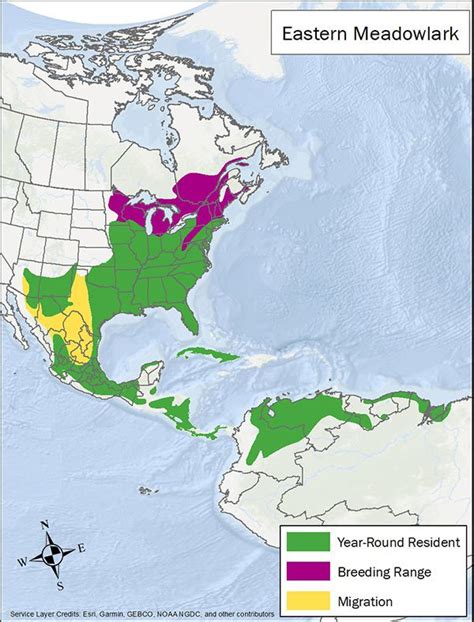 Eastern Meadowlark Habitat & Management Information - LandPKS