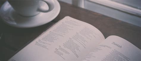 Why Every Christian Should Study the Bible - Olive Tree Blog