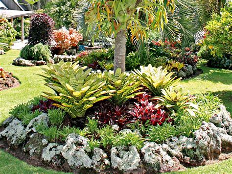 Tropical garden designs for small gardens - asdercustomer