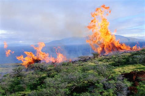 What Caused the Maui Fires? Here’s What We Know - RV Lyfe