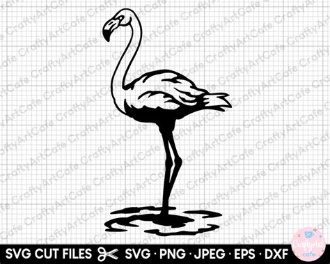 Flamingo Clipart Flamingo Svg Flamingo Png Flamingo Vector - Etsy