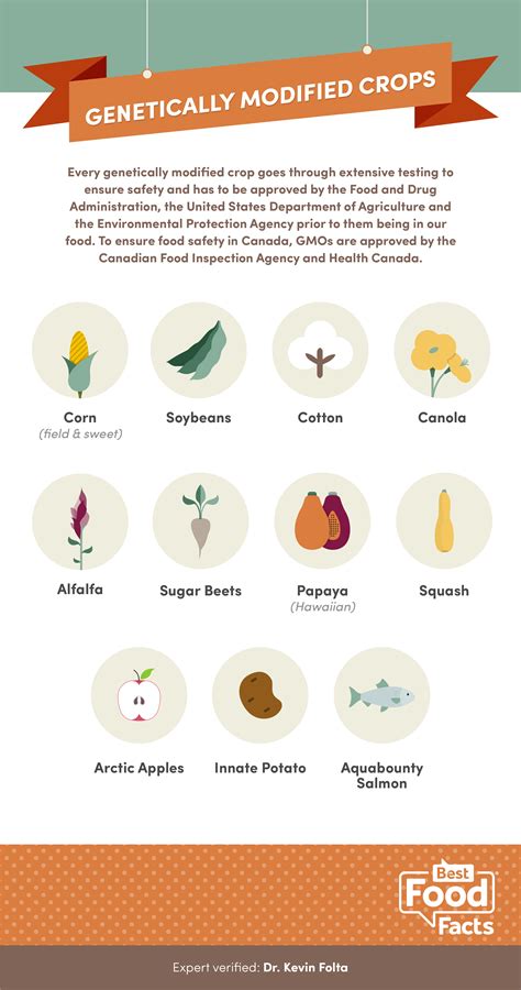 What Foods are Genetically Modified? | BestFoodFacts.org