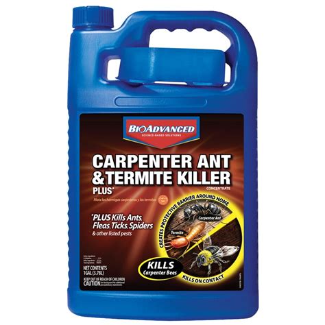 Shop BAYER ADVANCED 128-fl oz Carpenter Ant and Termite Killer Plus at ...