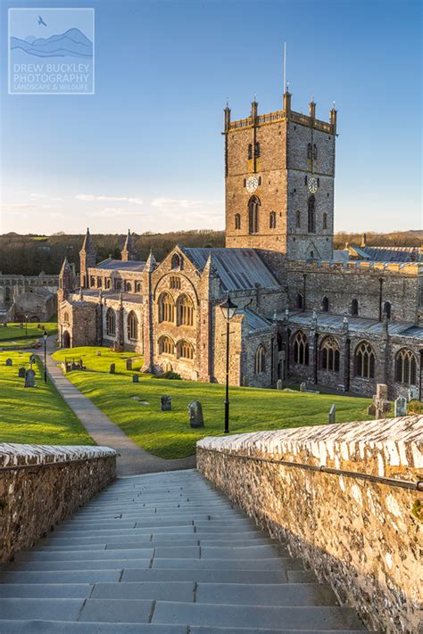 St Davids Cathedral - Drew Buckley Photography ~ Pembroke, Pembrokeshire