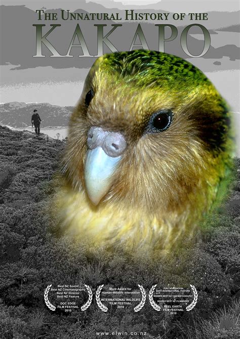 Kakapo Sounds