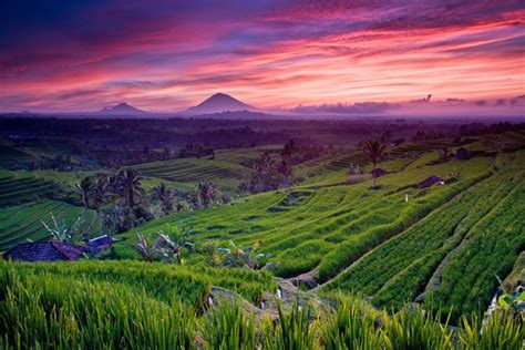 Gambar Pemandangan Sawah Di Bali - Gambar Pemandangan Indah