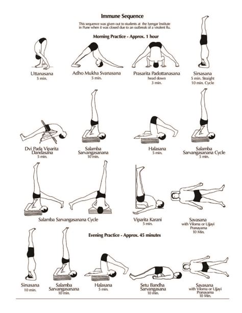 Immune Boosting Sequences from BKS Iyengar