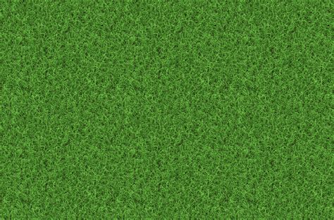 Grass texture - SF Wallpaper