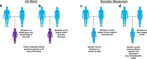 Types of sporadic gene mutations leading to disease. (a, b) De novo ...