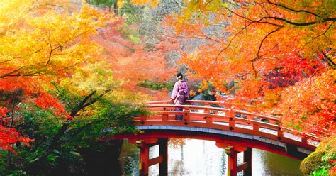 Japan Fall Foliage Forecast 2018: 8 Best Spots To Experience Autumn