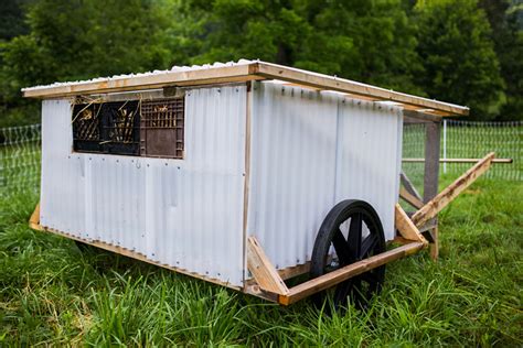 Basics of a Chicken Coop - Design Necessities - Abundant Permaculture