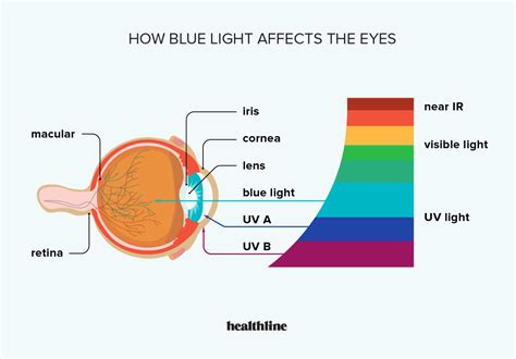 What Is Blue Light Computer | Homeminimalisite.com