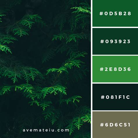 Green Pine Tree Leaves Color Palette 145 | Color palette, Green colour ...