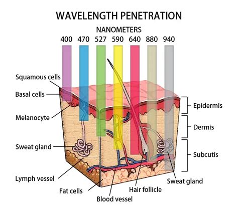 Shining the Light on Color Light Therapy:What You need to Know ...