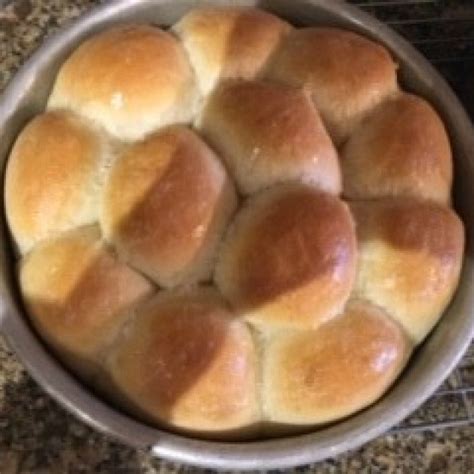 Basic Bosch Bread Recipe | ThriftyFun