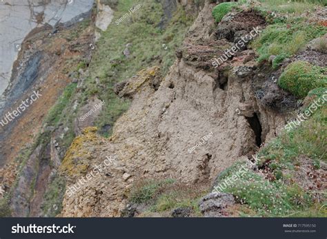 Coastal Erosion Effects Cliff Recession Top Stock Photo 717595150 ...