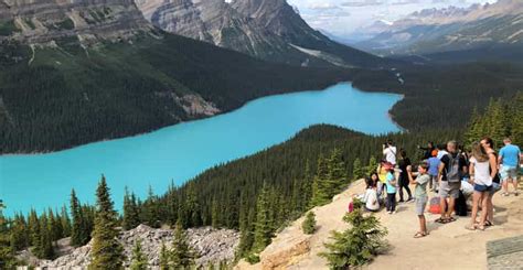 Saskatchewan River Crossing, Jasper - Book Tickets & Tours | GetYourGuide