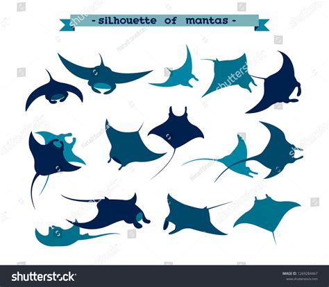 2,319 Manta ray silhouette Images, Stock Photos & Vectors | Shutterstock