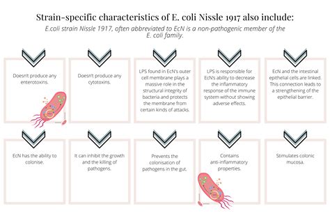 The E-coli Strain 'Nissle 1917' (Mutaflor) A Powerful Probiotic