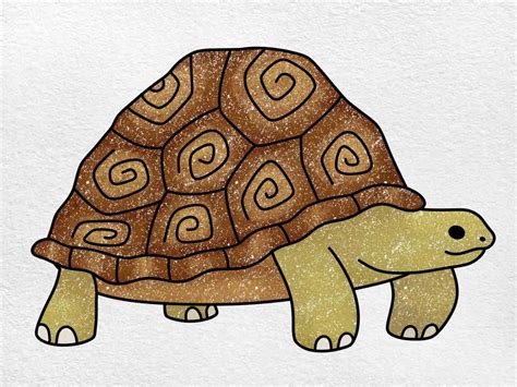 How to Draw a Tortoise - HelloArtsy