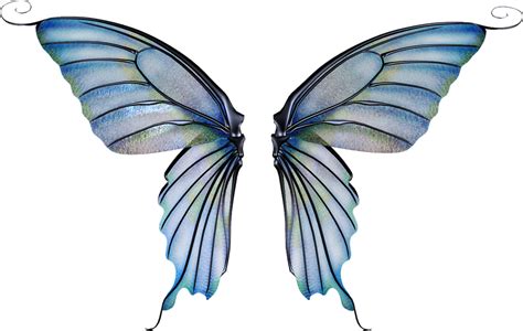 Fairies clipart wing, Fairies wing Transparent FREE for download on WebStockReview 2024