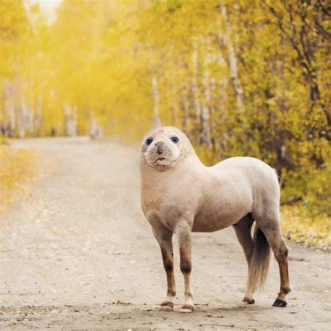 This Artist Can’t Stop Creating Weird and Wonderful Animal Hybrids in ...