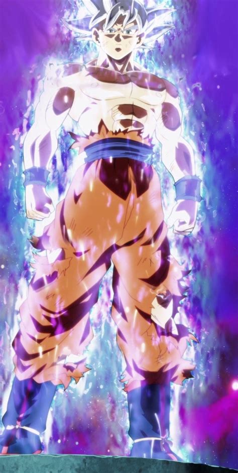 Image - Ultra Instinct Goku Full Body.jpg | Dragon Ball Wiki | FANDOM powered by Wikia