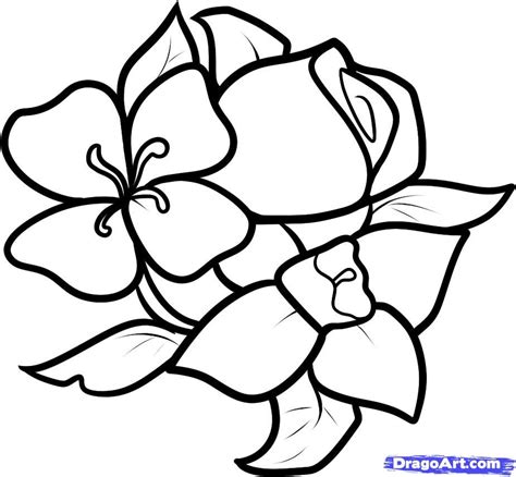 Pretty | Easy flower drawings, Flower drawing, Simple flower drawing