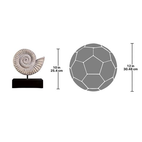 Ammonite Fossil Sculpture on Museum Mount - NE100505 - Design Toscano