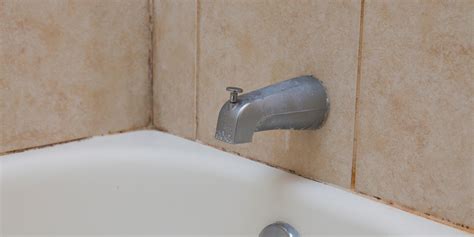 Bathroom Tile Mold Mildew Removal – Everything Bathroom