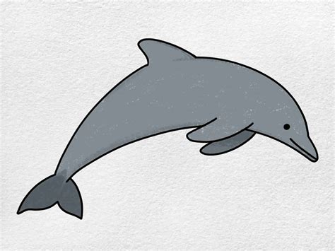 How to Draw a Dolphin - HelloArtsy